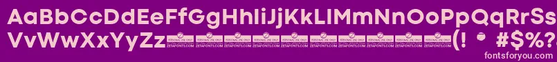 CodecColdExtraboldTrial Font – Pink Fonts on Purple Background