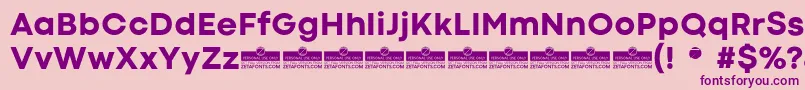 CodecColdExtraboldTrial Font – Purple Fonts on Pink Background