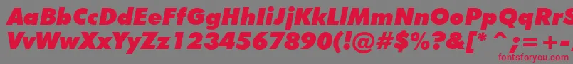 FuturaExtraBlackItalicBt Font – Red Fonts on Gray Background
