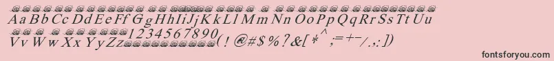 fuente Ferretsrtopsitalics – Fuentes Negras Sobre Fondo Rosa