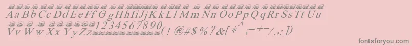 Ferretsrtopsitalics Font – Gray Fonts on Pink Background