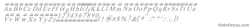 Ferretsrtopsitalics-fontti – harmaat kirjasimet valkoisella taustalla