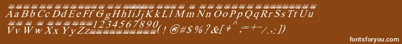 Ferretsrtopsitalics Font – White Fonts on Brown Background