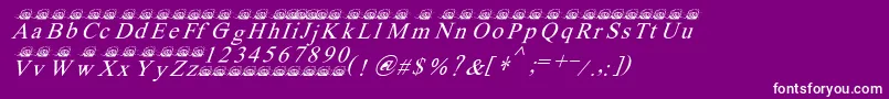 Ferretsrtopsitalics-Schriftart – Weiße Schriften auf violettem Hintergrund