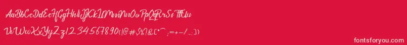 DekadePersonalUse Font – Pink Fonts on Red Background