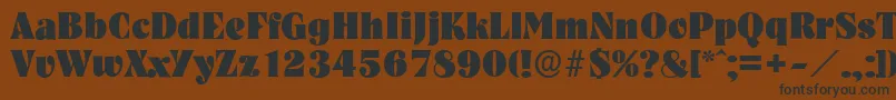 NashvilleserialHeavyRegular Font – Black Fonts on Brown Background