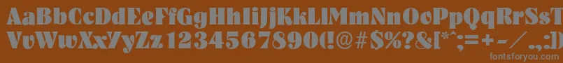 NashvilleserialHeavyRegular-Schriftart – Graue Schriften auf braunem Hintergrund