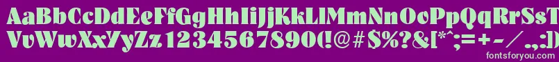 NashvilleserialHeavyRegular Font – Green Fonts on Purple Background