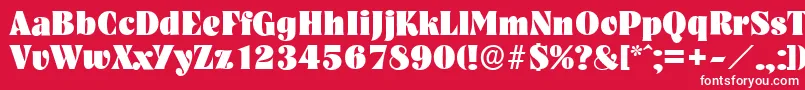 NashvilleserialHeavyRegular Font – White Fonts on Red Background