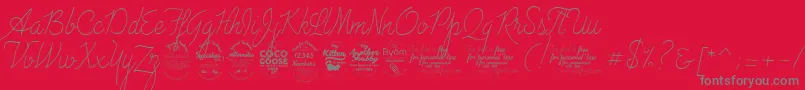 AdvertisingScriptMonolineTrial Font – Gray Fonts on Red Background