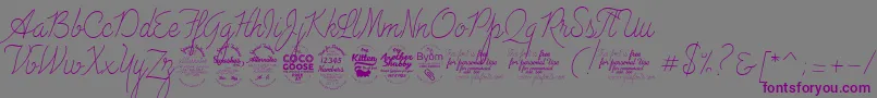 AdvertisingScriptMonolineTrial Font – Purple Fonts on Gray Background