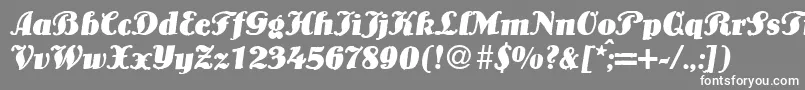 フォントLouisBolditalicDb – 灰色の背景に白い文字