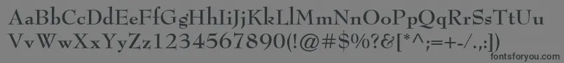 BernhardmodernstdBold Font – Black Fonts on Gray Background