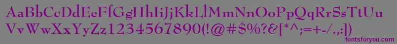 BernhardmodernstdBold Font – Purple Fonts on Gray Background