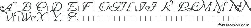 WrennInitials Font – Monogram Fonts