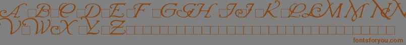 Weitere Informationen zur WrennInitials-Schriftart WrennInitials-Schriftart – Braune Schriften auf grauem Hintergrund