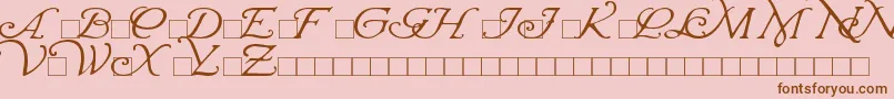 WrennInitials Font – Brown Fonts on Pink Background