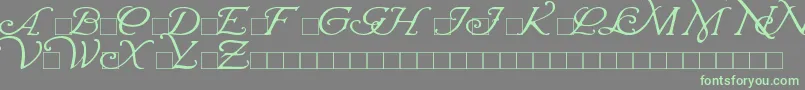 WrennInitials Font – Green Fonts on Gray Background