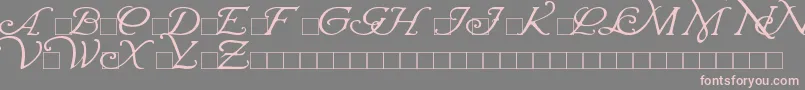 WrennInitials Font – Pink Fonts on Gray Background