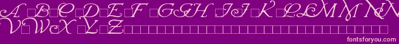 WrennInitials Font – Pink Fonts on Purple Background