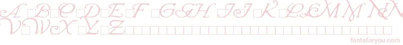WrennInitials Font – Pink Fonts on White Background