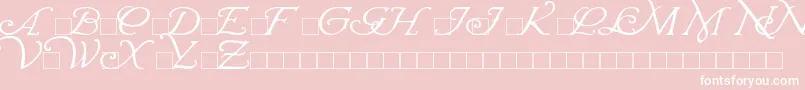 WrennInitials Font – White Fonts on Pink Background