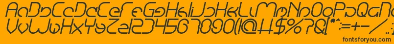 EmmiliaBoldItalic Font – Black Fonts on Orange Background