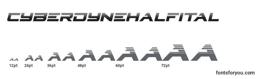 Cyberdynehalfital Font Sizes