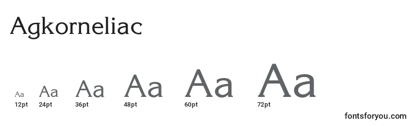 Размеры шрифта Agkorneliac