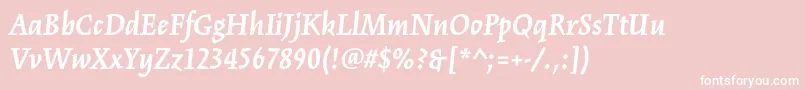 フォントKinesisstdBolditalic – ピンクの背景に白い文字
