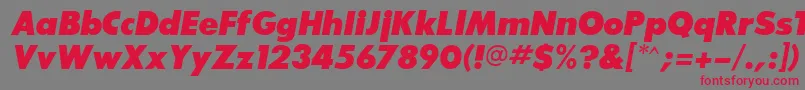 BouganBlackSsiExtraBoldItalic-Schriftart – Rote Schriften auf grauem Hintergrund