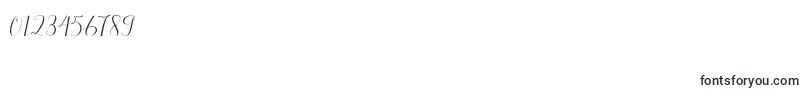 SymphonyScript Font – Fonts for Numbers and Digits