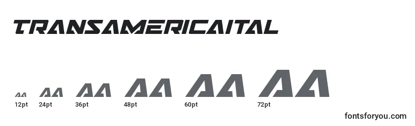 Размеры шрифта Transamericaital