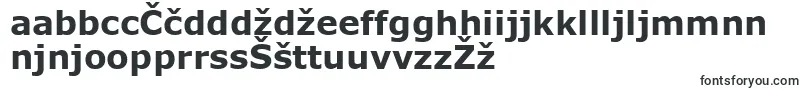 Шрифт Verdanab – словенские шрифты