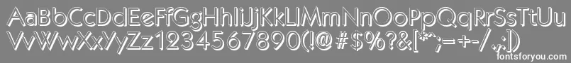 KoblenzshadowLightRegular Font – White Fonts on Gray Background