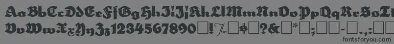 Herzogvongraf Font – Black Fonts on Gray Background