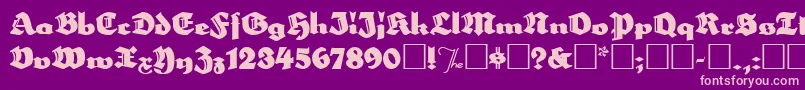 Herzogvongraf Font – Pink Fonts on Purple Background