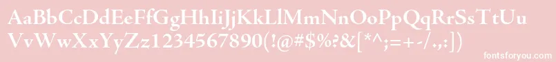 AjensonproBoldsubh Font – White Fonts on Pink Background