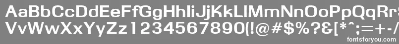 フォントObbsidda – 灰色の背景に白い文字