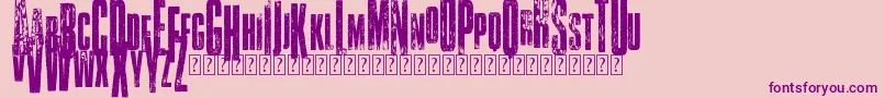 VtksClassicuda3 Font – Purple Fonts on Pink Background