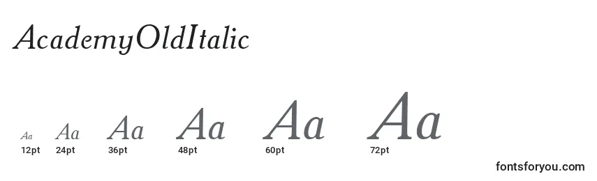 Размеры шрифта AcademyOldItalic