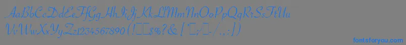 フォントSavoyeLetPlain.1.0 – 灰色の背景に青い文字