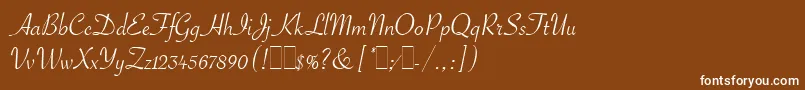 SavoyeLetPlain.1.0 Font – White Fonts on Brown Background