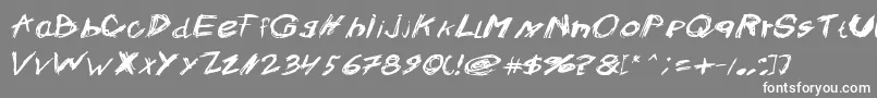 フォントCrazysk8 – 灰色の背景に白い文字