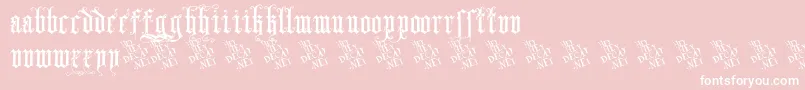 SkjendHansGotisk Font – White Fonts on Pink Background