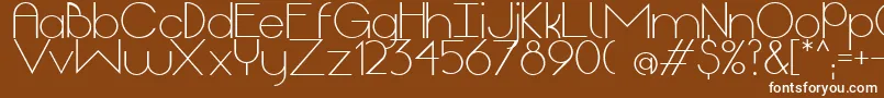 OriginLight Font – White Fonts on Brown Background