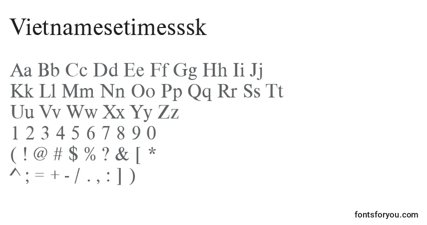 Шрифт Vietnamesetimesssk – алфавит, цифры, специальные символы