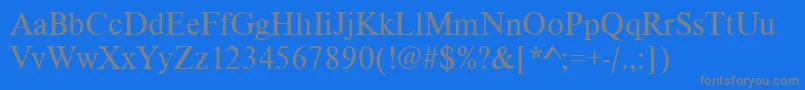 Vietnamesetimessskフォントについての詳細 フォントVietnamesetimesssk – 青い背景に灰色の文字
