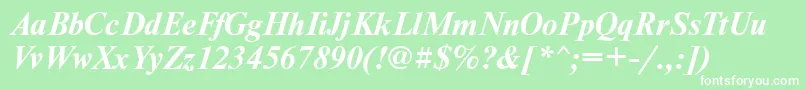 NewtoncttBolditalic Font – White Fonts on Green Background