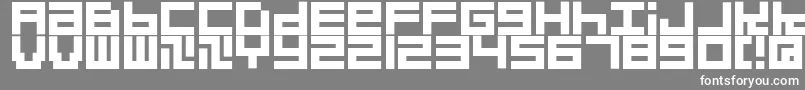 Quadrats Font – White Fonts on Gray Background